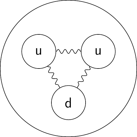 The established model for the proton contains two ‘up’ (u) quarks and one ‘down’ (d) quark, but no ‘charm’ quarks.