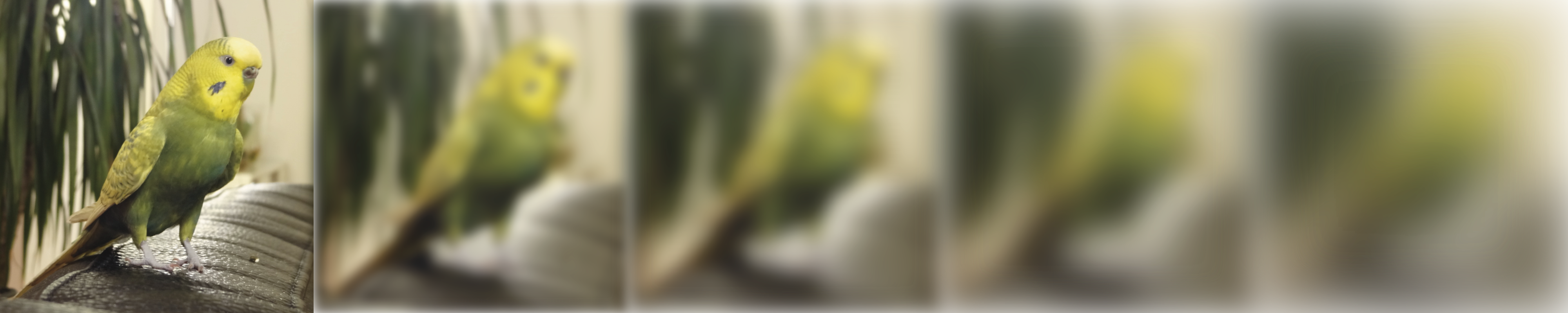 Diffusion model illustration. An image is put through successive additions of noise (left to right). The ML model is trained to restore the image, which amounts to 'undoing' the noise addition. Such a model is then able to generate images from pure noise.